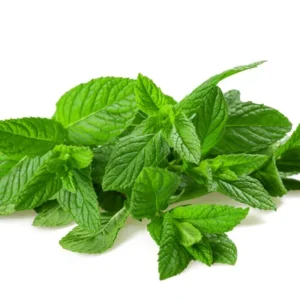 Peppermint